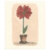 Sari's Artwork Schwammtuch Amaryllis red