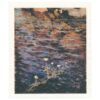 Ateneum Schwammtuch Pond Water Crowfoot