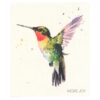 Schwammtuch Kolibri